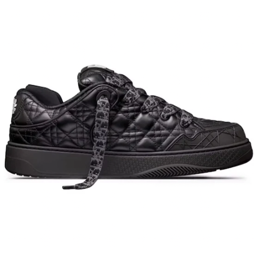 Dior B9S Skater ERL Black Quilted Cannage Calfskin