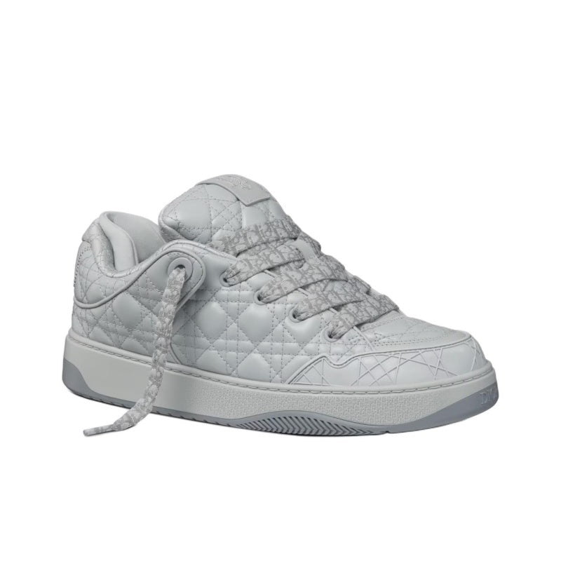 Dior B9S Skater Dior Gray (Numbered)