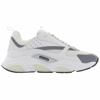 Dior B22 'White Grey'